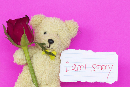 和Teddy熊红玫瑰花在背景粉红色上背景图片