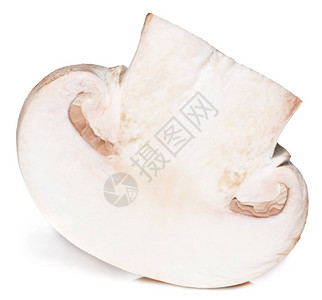 在白色背景隔绝的新鲜的香菇蘑图片