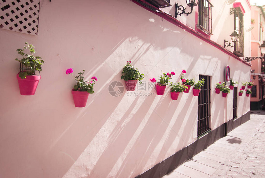 白色墙壁塞维利亚或许多其他古老的安达卢西亚城镇上的花盆和鲜花图片