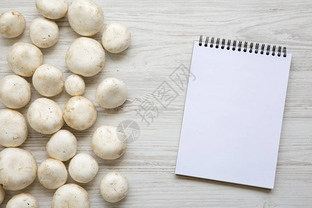 香格里翁蘑菇和笔记本图片