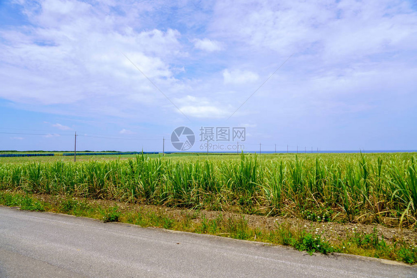 波照间岛的风景图片