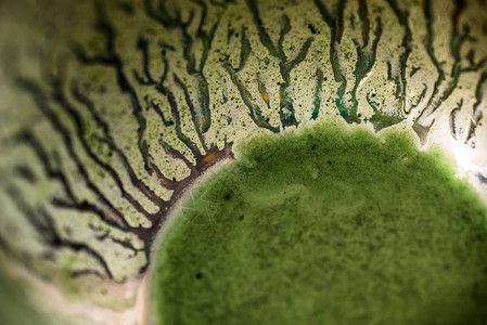 厨房桌上绿色螺旋藻粉混合的清新Kefirproboti图片