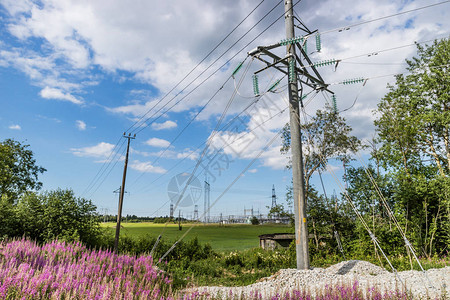 绿地的电线塔和电背景图片