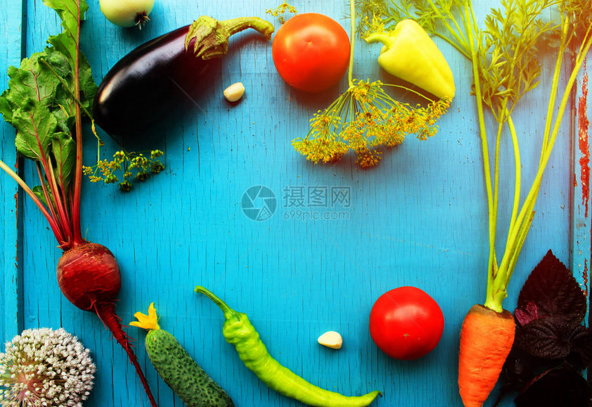 收获的明亮蔬菜框架茄子basil胡萝卜西红柿辣椒鹦鹉洋葱图片