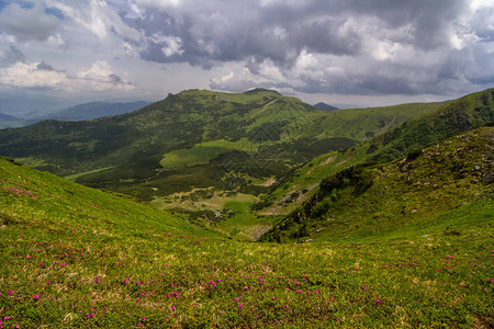 乌克兰喀尔巴阡山脉高山的美图片