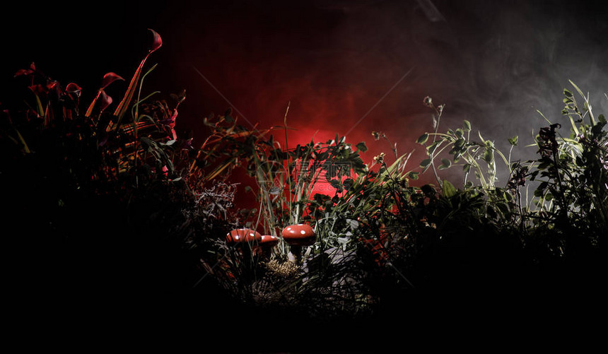 三个红色蘑菇神秘的黑暗森林特写中的幻想发光蘑菇神奇蘑菇真菌的美丽微距镜头毒蝇伞图片