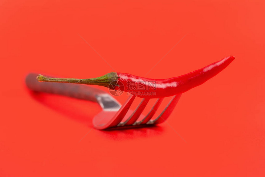 红辣椒红色背景上孤立的叉子上的红图片