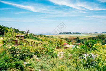 韩国安山大都绿色自图片