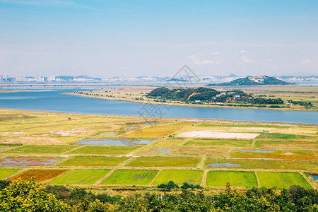 韩国安山大都的帕图片