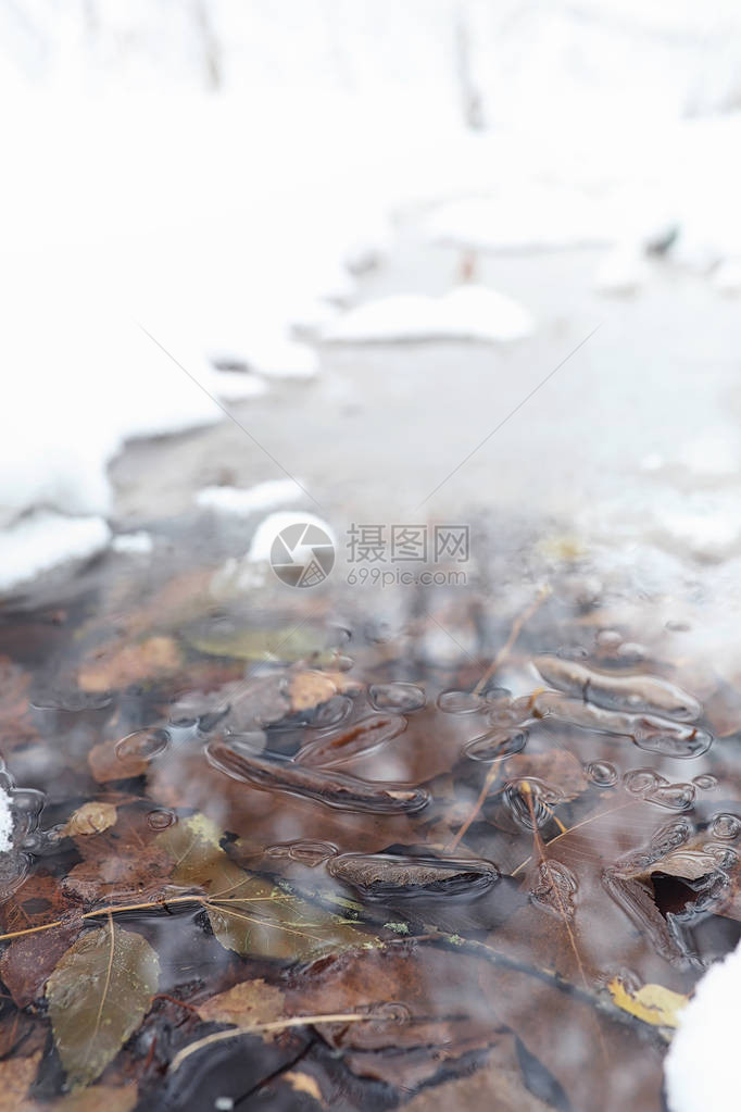 白雪覆盖的冬季公园和长椅公园和码头喂鸭子和鸽子在雪地里散步图片