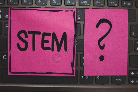 分子病显示Stem的书写笔记商业照片展示人类胚胎发育破坏用于科学研究黑色笔记本电脑键盘粉色纸问思想电脑背景