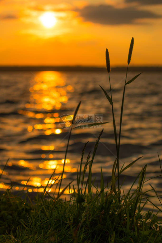 美丽的日落湖图片