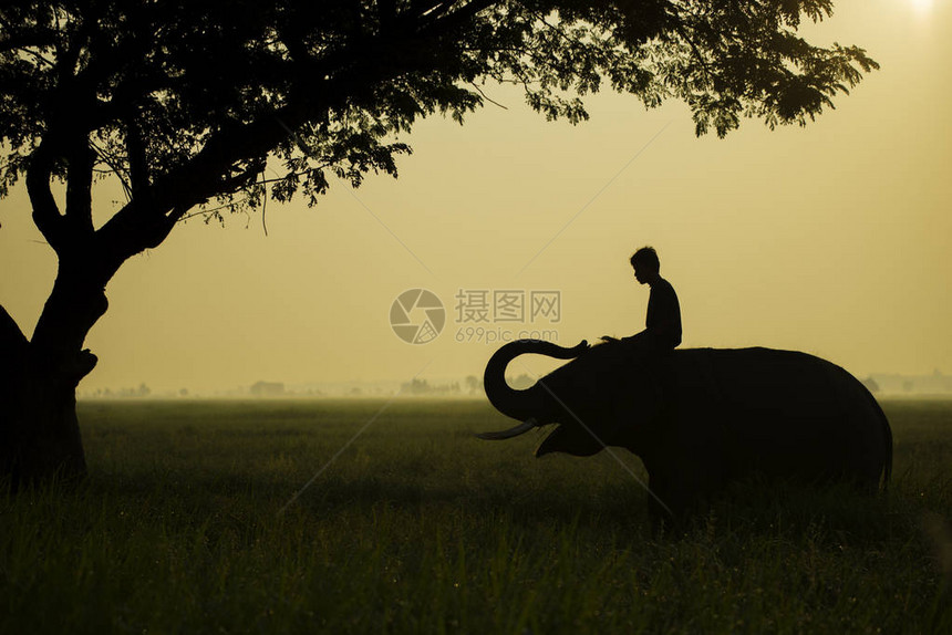 日出时在泰国素林SurinThaig图片