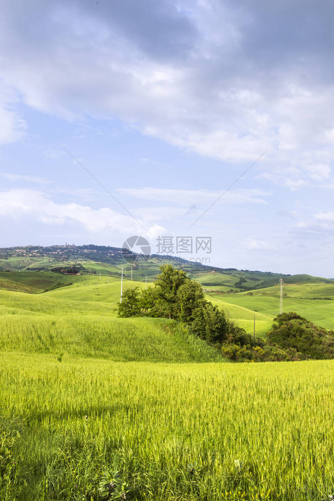 风景秀丽的绿色草地图片