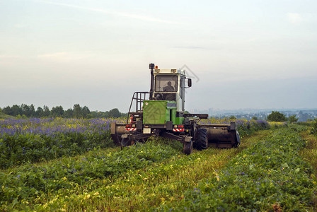 收获季节的农耕者结合种草在夏季黄昏露图片
