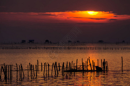 泰国碧武里邦塔日出海滩的风景KraTengMaiPa图片