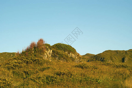 风景如画的丘陵高山草甸与明亮的秋草和蓝天图片