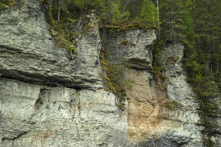 树木繁茂的石灰岩石峭壁图片