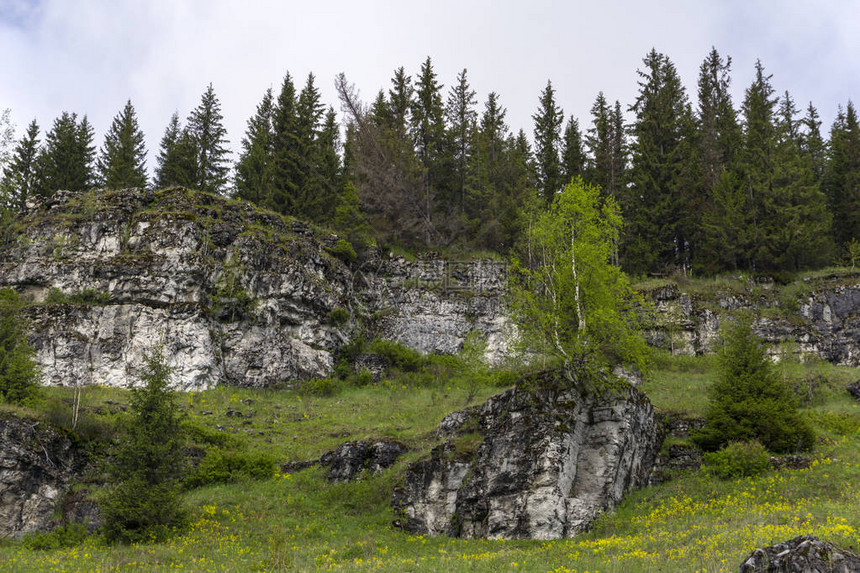 山林中一片盛开的花岗岩上的图片