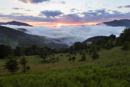 山地景观云中的日出浓雾与柔和的光线草坪上的草和树旅游度假区图片