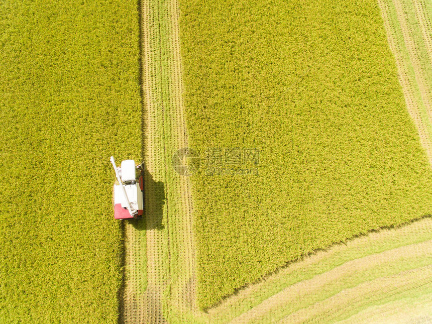 联合收割机与稻田的鸟瞰图图片
