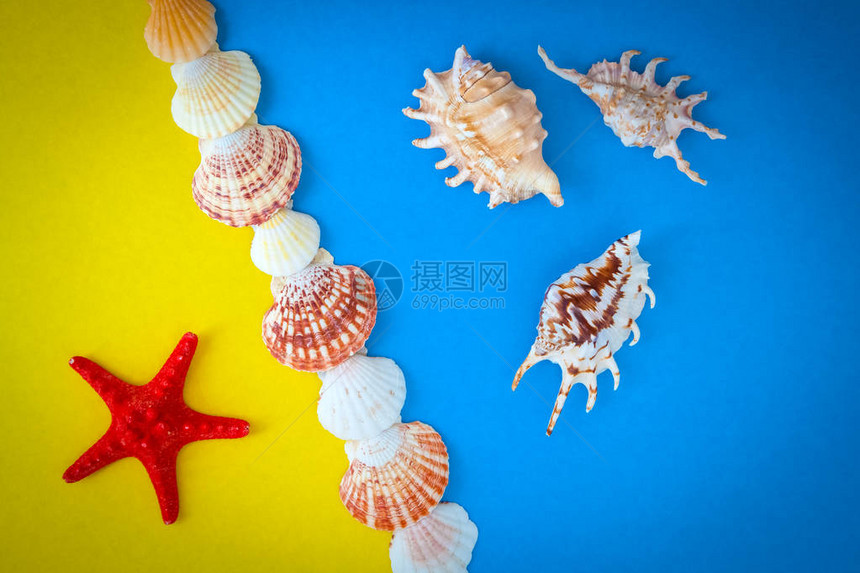 夏季时间概念海壳和海星在蓝黄图片