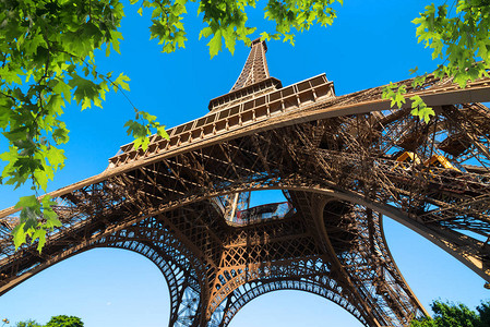 巴黎公园内的埃菲尔铁塔图片