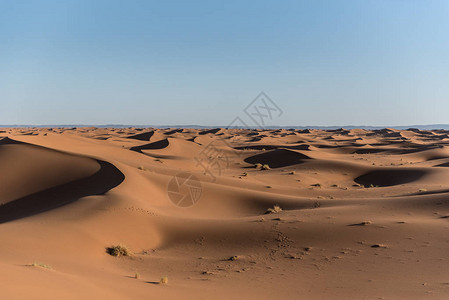摩洛哥沙拉漠图片