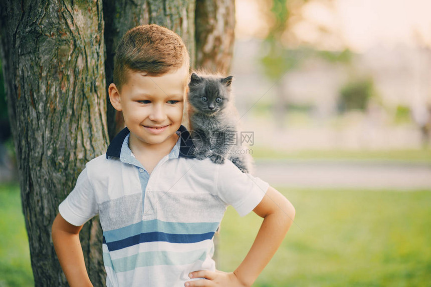 小男孩和小猫咪在夏日公园玩耍图片