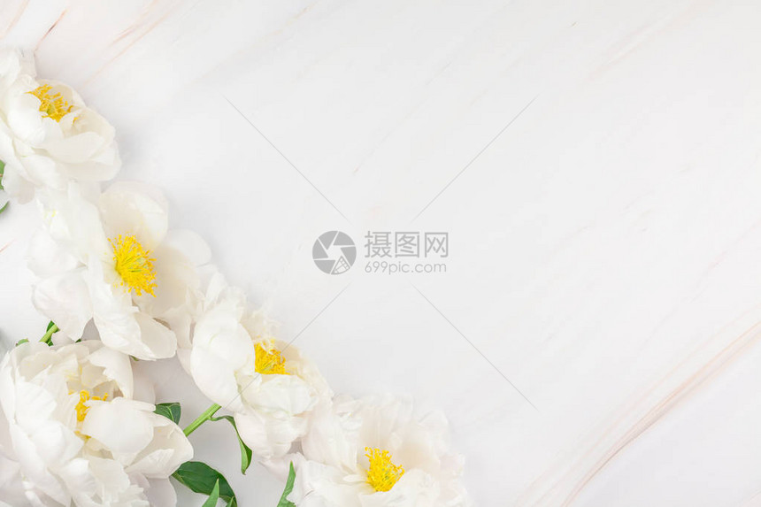 大理石背景上绽放着美丽的白牡丹花图片