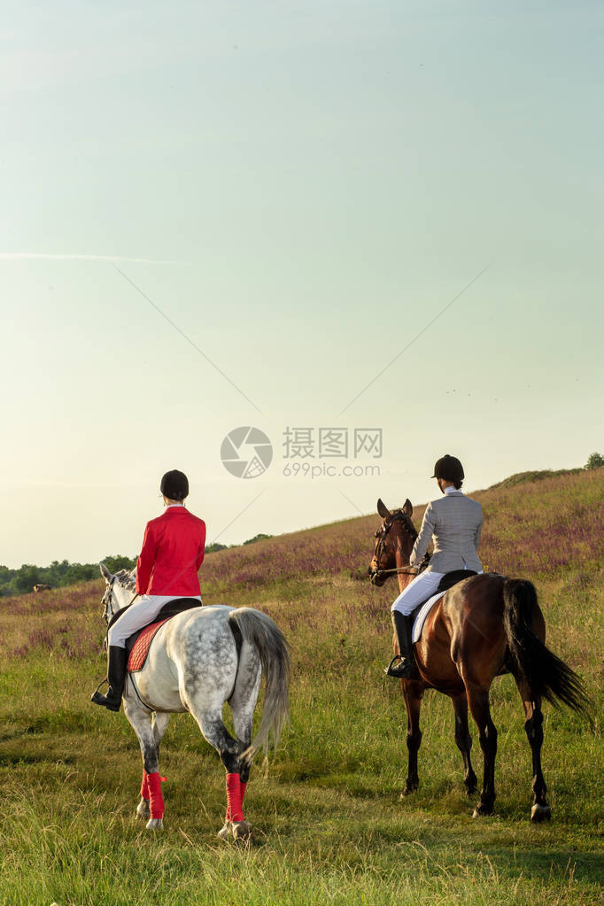 两名年轻女子在公园里骑马夏天骑马生活氛围图片