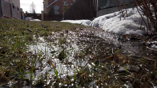 肮脏的融化雪背景的特写镜头冬天绿草和绿草上融化的雪融化的雪水中的第一朵春天背景图片