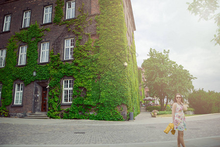 在WawelCracow的古老城堡观光图片