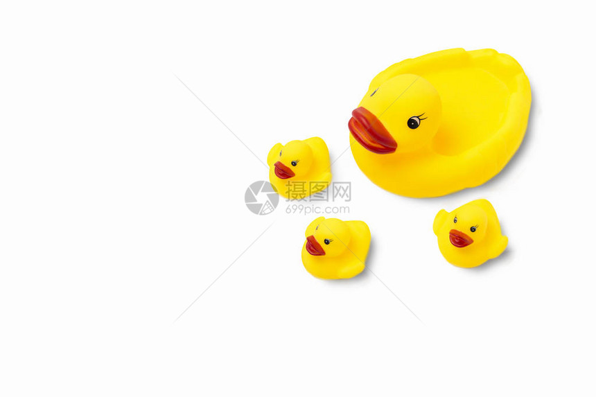 黄色妈鸭子和小鸭子橡胶玩具在白色背景母关怀和对儿图片