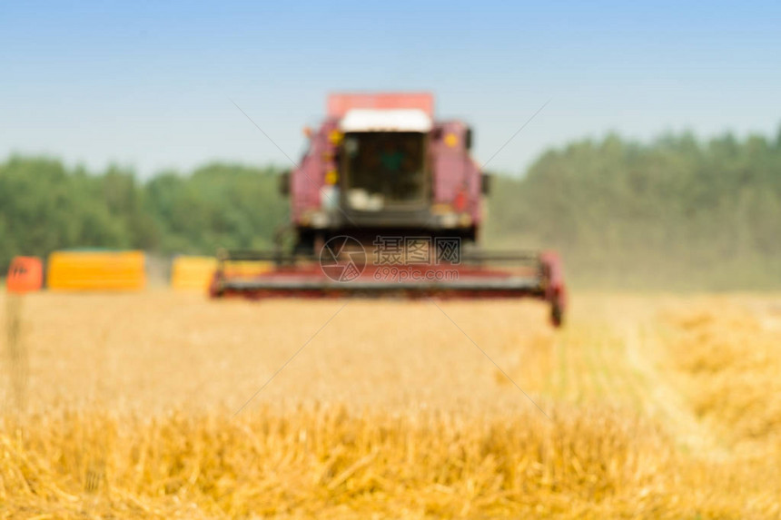 模糊背景农业机械在谷物出口领域收获金色成熟小麦农图片