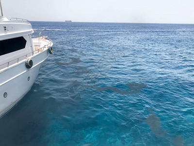 船头白船的侧面和水坑的景色漏油肮脏的液体蓝色的盐海热带海滨度图片