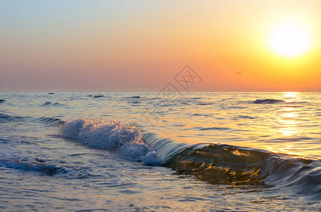 海平面上的日出海浪飞溅图片