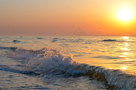 海平面海浪飞水图片