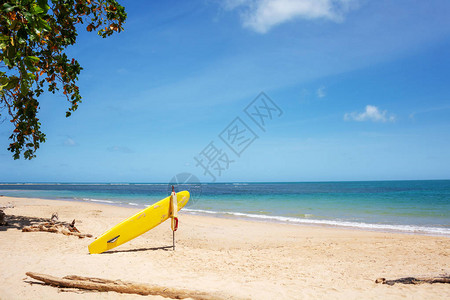 夏季热带沙滩的冲浪板图片