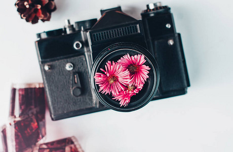 老式胶卷相机粉红色的花朵和胶卷图片
