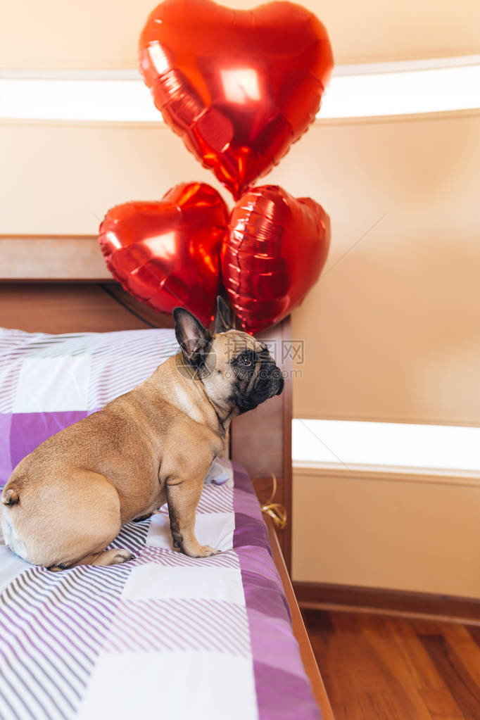 坐在心脏气球旁边的床边的图片