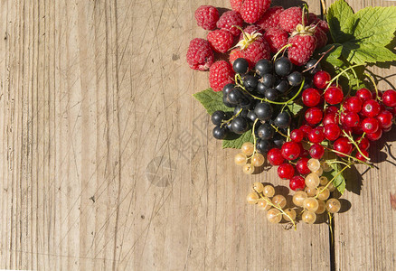 覆盆子黑红和白醋栗浆果背景图片
