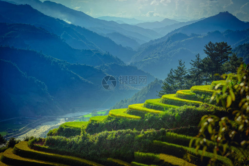 越南YenBai的MuCangChai用松树在阳台田图片