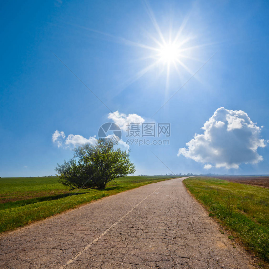 在炎热的夏日绿色草原中的道路图片