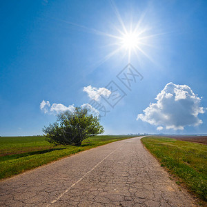 在炎热的夏日绿色草原中的道路图片