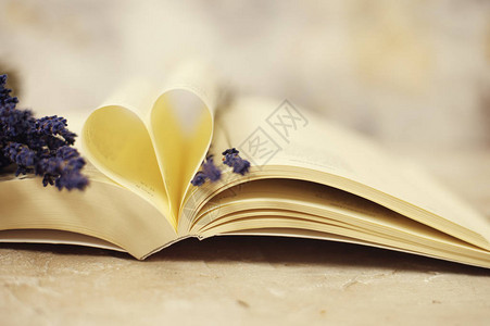 心脏形状的书页上图片