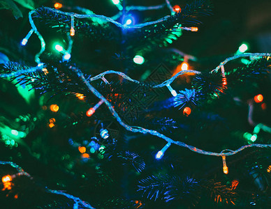 新年树上的五彩圣诞灯图片