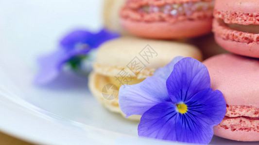 彩色马卡龙饼干的宏观特写图片