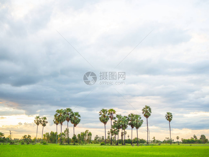 在日落大蓝天与多云背景下雨前图片