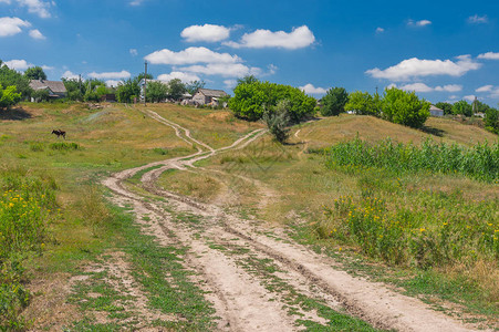 乌克兰中部Bashmachka村通往农户住房的乡村夏季地图片